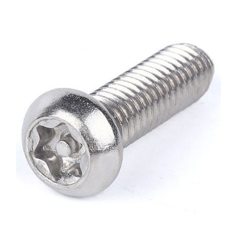 Tornillo Torx de ciruela antirrobo personalizado