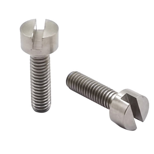 Tornillo de titanio ranurado DIN84
