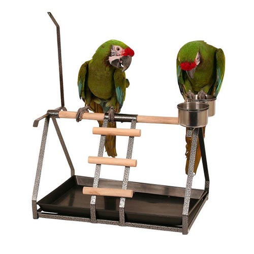 Parrot Playstand Bird Playground