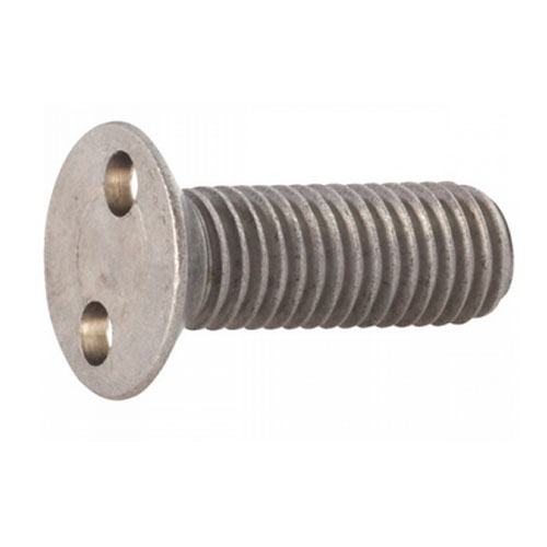 Tornillo antirrobo ojo de serpiente
